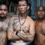 criminels-expulses-vers-le-salvador-dix-membres-presumes-de-gangs-renvoyes-par-les-etats-unis
