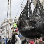 economie-bleue-le-mirah-et-la-fao-plaident-pour-une-hausse-des-investissements-dans-un-secteur-d-avenir