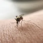 vision-2030-la-cote-d-ivoire-mise-sur-l-approche-communautaire-pour-eradiquer-le-paludisme