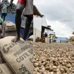cote-d-ivoire-plus-de-900-tonnes-de-cacao-et-d-anacarde-de-contrebande-saisies