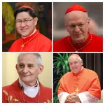 pretendants-au-trone-vaticanesque-qui-pour-succeder-a-francois