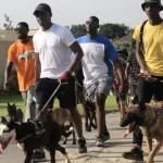 securite-et-animaux-de-compagnie-un-appel-a-la-responsabilite-apres-un-incident-a-grand-bassam