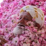 taif-arabie-saoudite-la-ville-qui-fait-rayonner-son-parfum-rose-dans-tout-l-orient