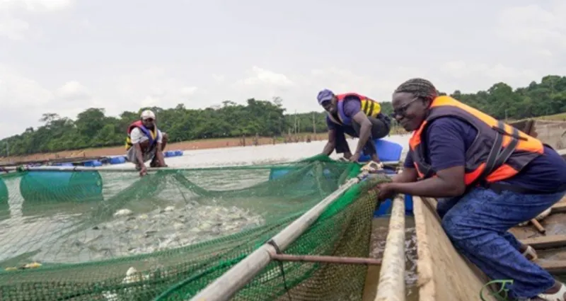 Aquaculture/ Accès au financement, aux aliments : l’État, les producteurs et leurs partenaires signent un pacte