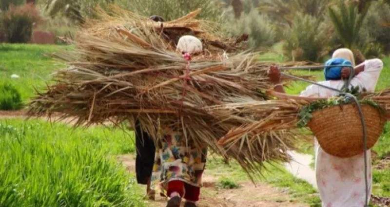 Côte d’Ivoire : 60% des personnes sont analphabètes dans les zones urbaines et rurales du Sud-Comoé