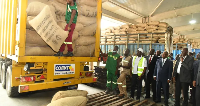 Enlèvement du stock du cacao restant par l’Etat : Les producteurs en joie remercient les autorités