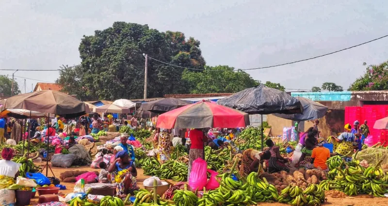 Hausse des prix denrées alimentaires : Comment se nourrir aisément aujourd’hui en Côte d'Ivoire ?