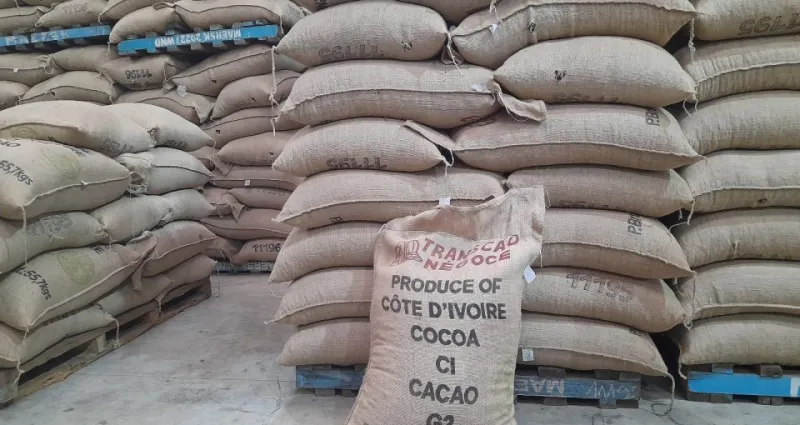 Côte d'Ivoire : chute du prix du cacao et lutte contre l'incivisme routier à la Une des journaux