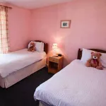 comment-decorer-une-chambre-de-jumeaux