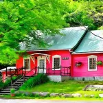 comment-donner-a-votre-maison-une-metamorphose-ecologique