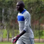 axel-kacou-un-inconnu-dans-la-cage-des-elephants