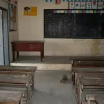 enseignement-primaire-le-personnel-enseignant-en-greve-depuis-ce-matin