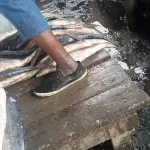 insalubrite-et-mauvaises-odeurs-envahissent-le-port-de-peche-d-abidjan
