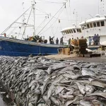 port-de-peche-d-abidjan-ou-vont-les-prelevements-de-la-mairie