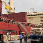 chute-des-cours-du-cacao-la-cote-d-ivoire-suspend-les-ventes