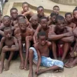 200-microbes-retires-des-rues-et-convoyes-a-m-bahiakro