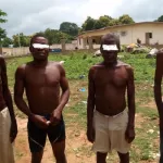 riviera-des-sorciers-demasques-par-une-plante