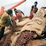 chute-des-cours-du-cacao-ce-que-releve-un-rapport-international