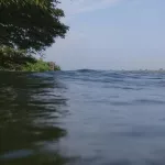 port-bouet-drame-il-va-defequer-dans-la-lagune-et-se-noie