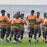 can-2017-abu-dhabi-terre-benite-pour-les-elephants