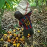 lutte-contre-le-travail-des-enfants-soubre-va-abriter-la-premiere-maison-d-accueil-des-enfants-victimes