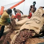 cacao-bloque-dans-les-ports-et-a-l-interieur-du-pays-le-conseil-du-cafe-cacao-se-met-a-l-epreuve
