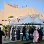 mali-des-presumes-terroristes-arretes-peu-avant-le-sommet-afrique-france