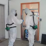 peintures-au-plomb-une-etude-revele-de-graves-consequences-sur-la-sante