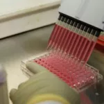 lutte-contre-le-sida-un-medicament-vaccin-traite-avec-succes