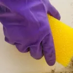 comment-entretenir-un-mur-peint-non-lessivable