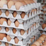 affaire-oeufs-contamines-en-provenance-des-pays-bas-la-cote-d-ivoire-prend-de-grandes-decisions