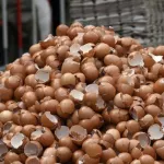 affaire-oeufs-contamines-au-fripronil-il-n-y-a-pas-que-les-oeufs