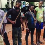 phenomene-des-microbes-voici-la-position-du-gouvernement