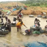 enquete-express-dans-l-univers-des-fanicos-du-banco