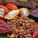 un-gros-scandale-dans-la-production-du-cacao-devoile