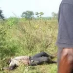 brobo-affaire-disparition-du-jeune-yannick-le-corps-sans-vie-retrouve-dans-une-broussaille-des-organes-sectionnes-et-emportes