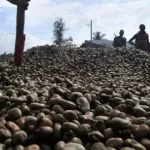 campagne-agricole-2016-2017-un-detournement-de-40-millions-de-f-cfa-dans-la-filiere-anacarde