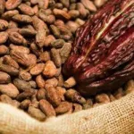 revalorisation-du-prix-du-cacao-la-cote-d-ivoire-et-le-ghana-vont-mettre-en-place-un-stock-regulateur