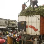 secteur-du-vivrier-en-cote-d-ivoire-ces-femmes-analphabetes-qui-controlent-ce-domaine