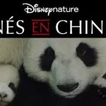 nes-en-chine
