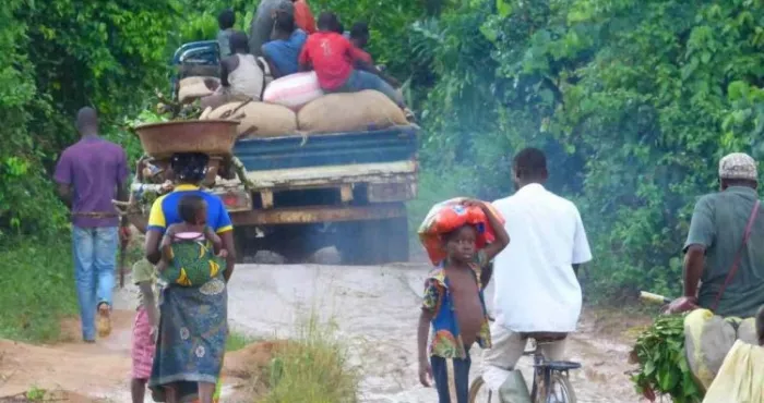 economie-nationale-comment-la-fuite-du-cacao-vers-le-ghana-est-organisee