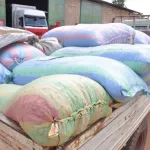 cafe-cacao-le-gouvernement-engage-la-lutte-contre-la-fuite-des-productions-vers-le-ghana