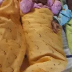 accouchement-sans-assistance-elle-meurt-apres-avoir-donne-naissance-a-des-triples