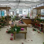 plateau-une-entreprise-de-vente-de-fleurs-attaquee-une-forte-somme-d-argent-volee
