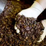 cafe-le-prix-du-kilogramme-fixe-a-750-f-cfa