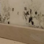comment-se-debarrasser-de-la-moisissure-dans-la-salle-de-bain