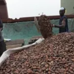 filiere-cafe-cacao-des-inquietudes-sur-le-proces-des-ex-barons-10-ans-apres