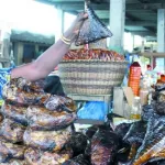 poissons-fumes-les-dangers-qui-guettent-les-consommateurs