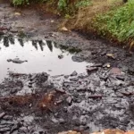 produits-chimiques-et-dechets-toxiques-les-malformations-congenitales-sont-liees-a-leurs-mauvaises-gestions