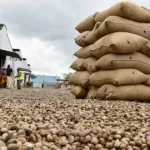 cajou-campagne-2018-le-prix-du-kilogramme-fixe-a-550-f-cfa